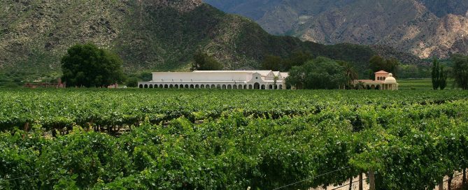 High-altitude vineyard at Cafayate in Salta, Argentina