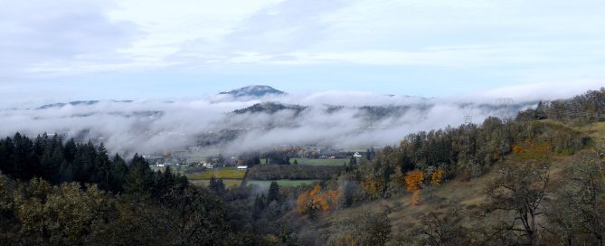 Morning fog over the Willamette Valley, Oregon
