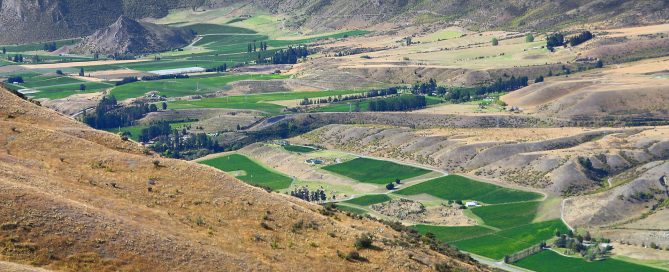 Gibbston Valley vineyard, Central Otago, New Zealand
