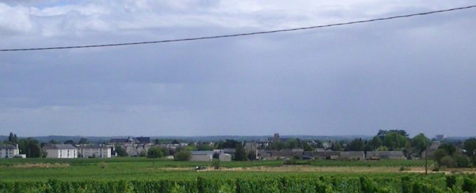 Cabernet Franc vineyards at Bourgueil in the Loire Valley