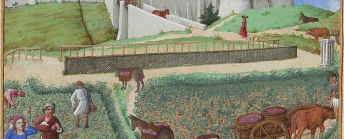 Medieval grape harvest, detail from the Tres Riches Heures du Duc de Berry