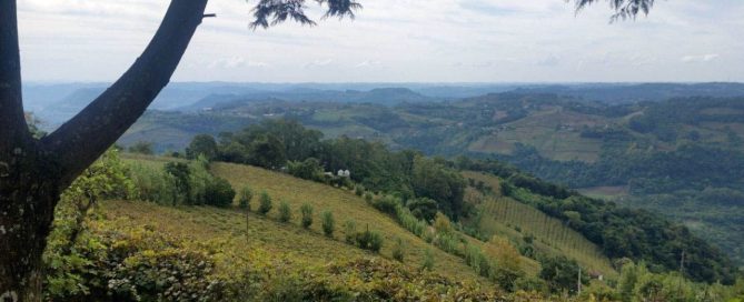 Rolling vineyards and farmland in the Serra Gaúcha hills near Bento Gonçalves, Brazil