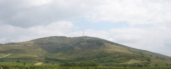Vineyards in the Tokaj wine region of Hungary